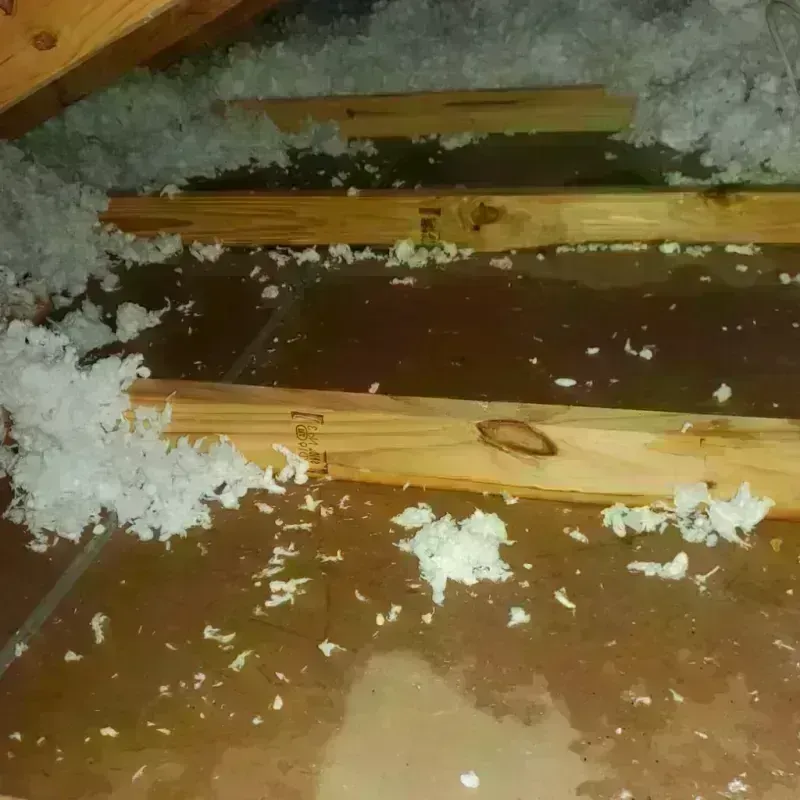 Attic Water Damage in Mendocino County, CA